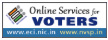 online services for voters